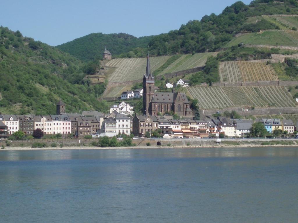 Weingut Theodor Nies Apartment Lorch am Rhein Exterior foto