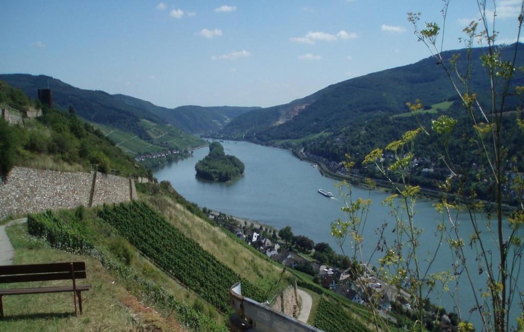 Weingut Theodor Nies Apartment Lorch am Rhein Exterior foto