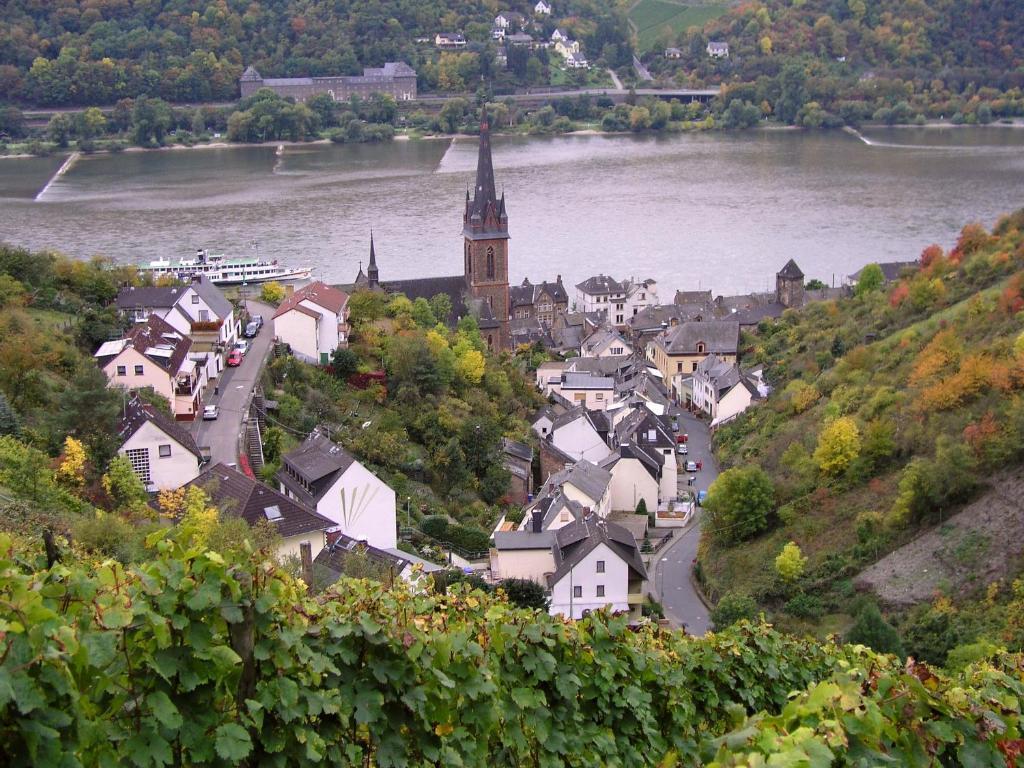 Weingut Theodor Nies Apartment Lorch am Rhein Exterior foto
